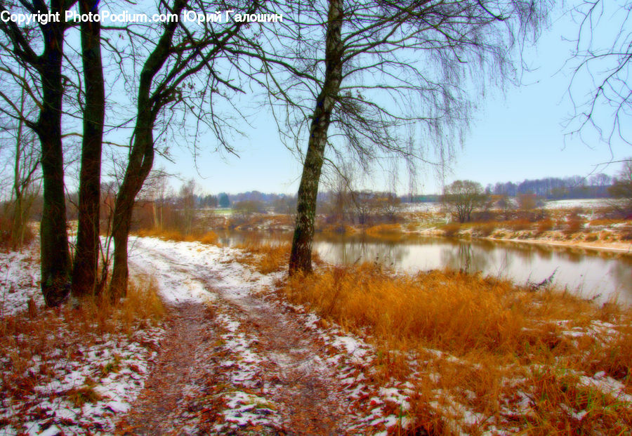Flood, Dirt Road, Gravel, Road, Land, Marsh, Pond