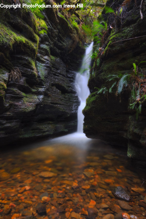 Creek, Outdoors, River, Water, Waterfall, Forest, Jungle