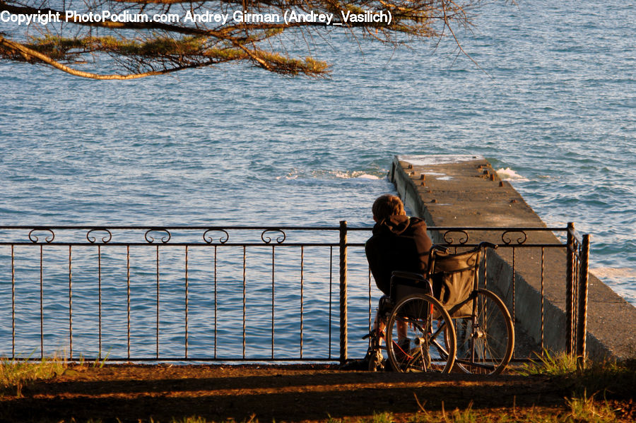 People, Person, Human, Wheelchair, Bicycle, Bike, Vehicle