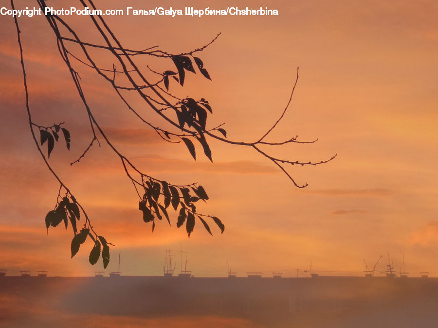 Dawn, Dusk, Sky, Sunrise, Sunset, Silhouette, Red Sky