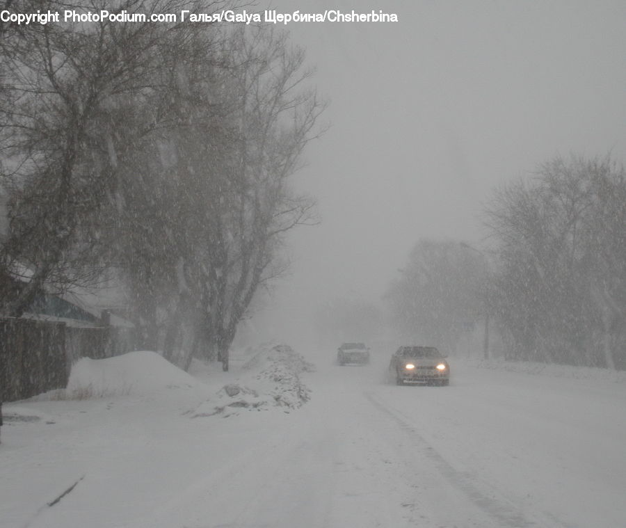 Blizzard, Outdoors, Snow, Weather, Winter