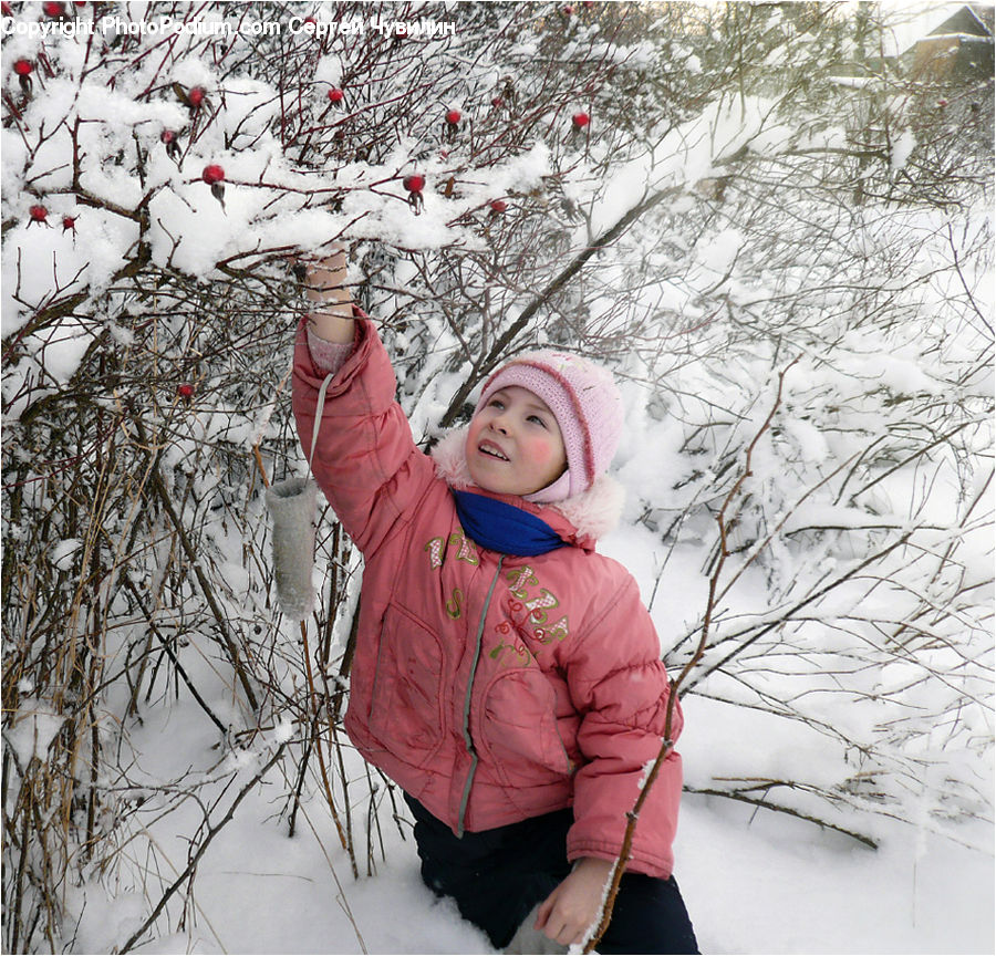 People, Person, Human, Ice, Outdoors, Snow, Leisure Activities
