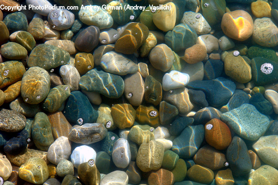 Pebble, Squash, Vegetable, Rock, Alcyonacea, Brain Coral, Coral Reef