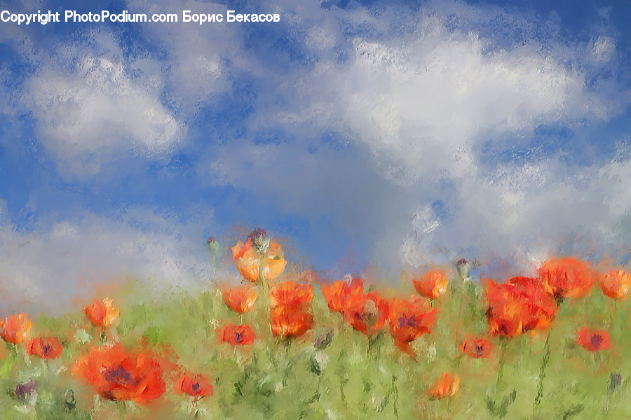 Blossom, Flora, Flower, Plant, Poppy, Art, Painting