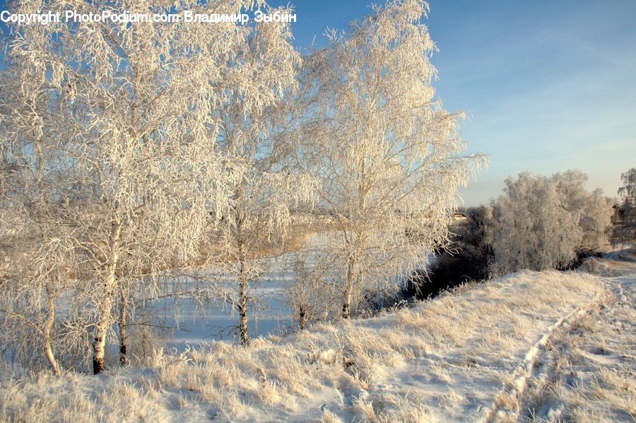 Frost, Ice, Outdoors, Snow, Landscape, Nature, Scenery