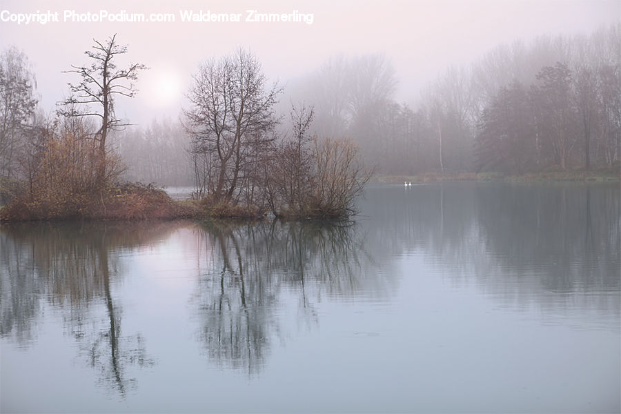Fog, Landscape, Nature, Scenery, Dawn, Dusk, Sky