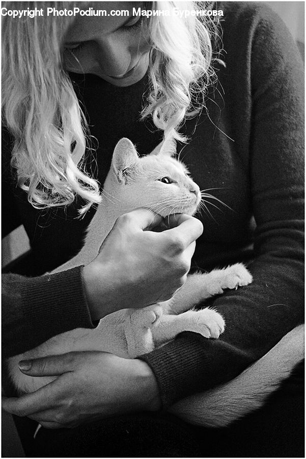 People, Person, Human, Animal, Blonde, Female, Woman