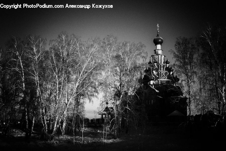 Night, Outdoors, Forest, Vegetation, Architecture, Castle, Fort