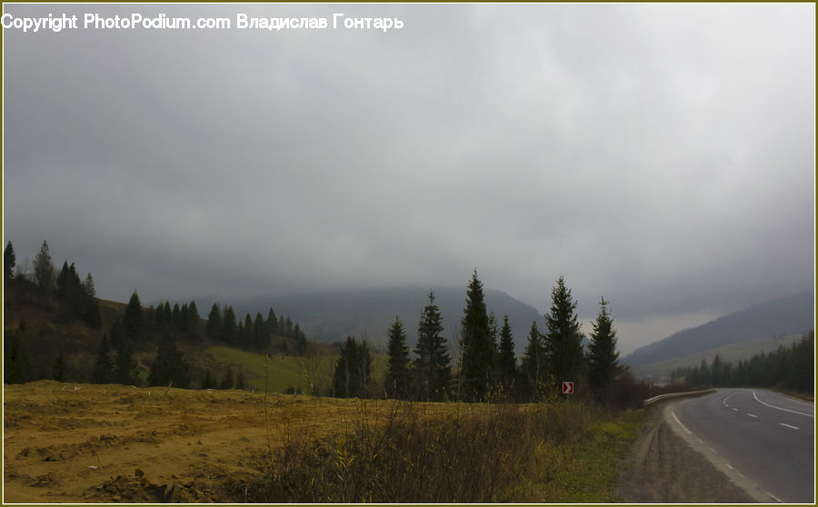 Road, Dirt Road, Gravel, Freeway, Highway, Conifer, Fir