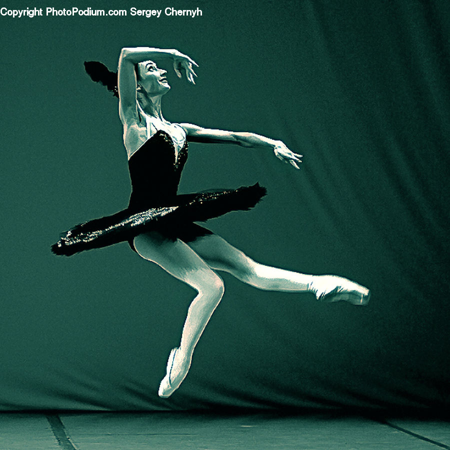 Dance, Dance Pose, Ballerina, Ballet, Performer, Person