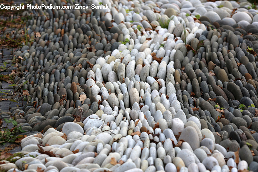 Pebble, Bean, Produce, Vegetable, Squash, Rock