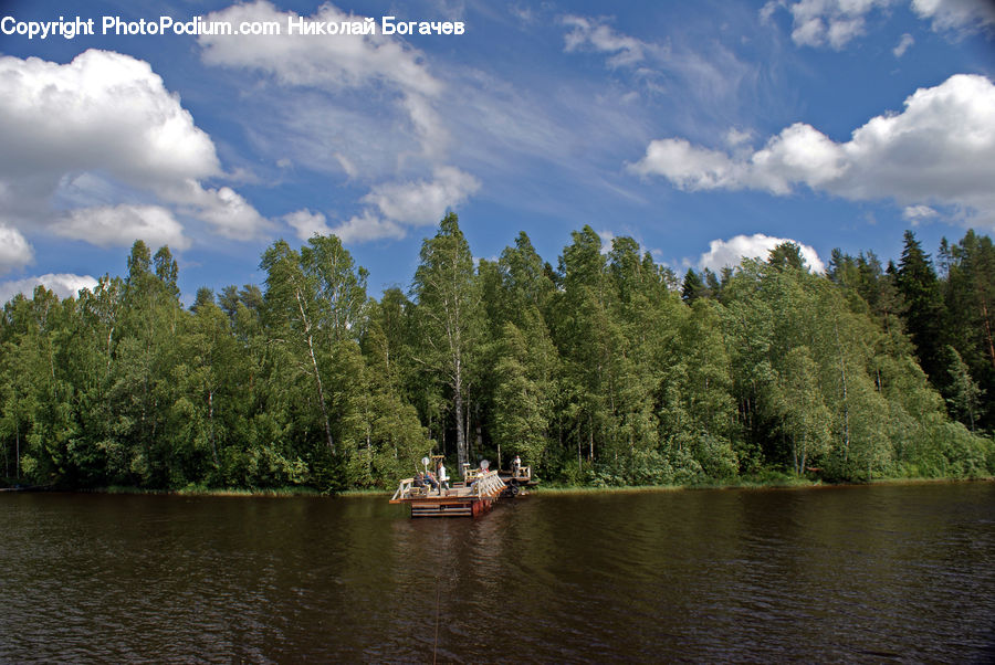 Lake, Outdoors, Water, Cloud, Cumulus, Sky, Conifer