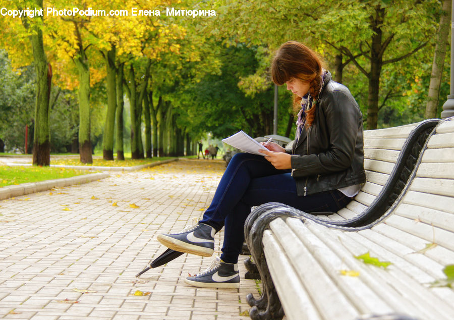 People, Person, Human, Park Bench, Oak, Tree, Wood