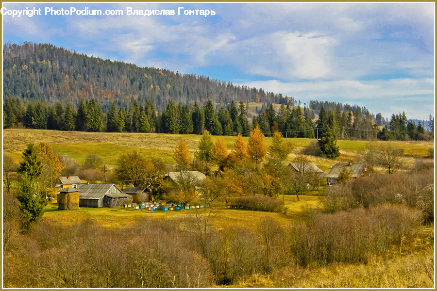 Field, Grass, Grassland, Land, Outdoors, Building, Cottage
