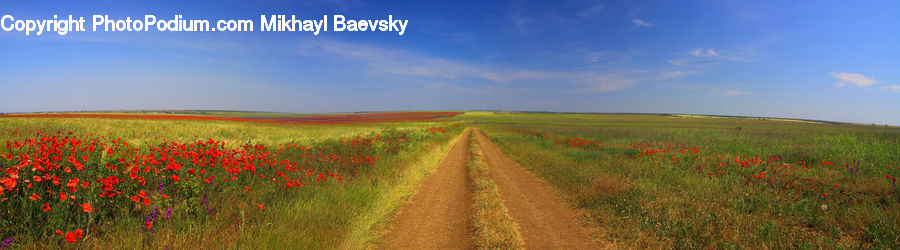 Dirt Road, Gravel, Road, Field