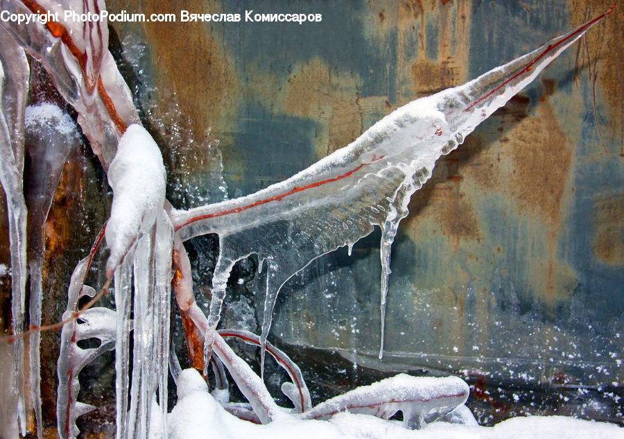 Ice, Outdoors, Snow, Food, Seafood, Bonito, Coho