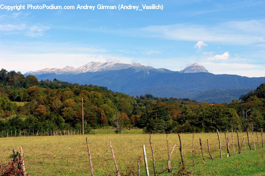Field, Grass, Grassland, Land, Outdoors, Countryside, Meadow