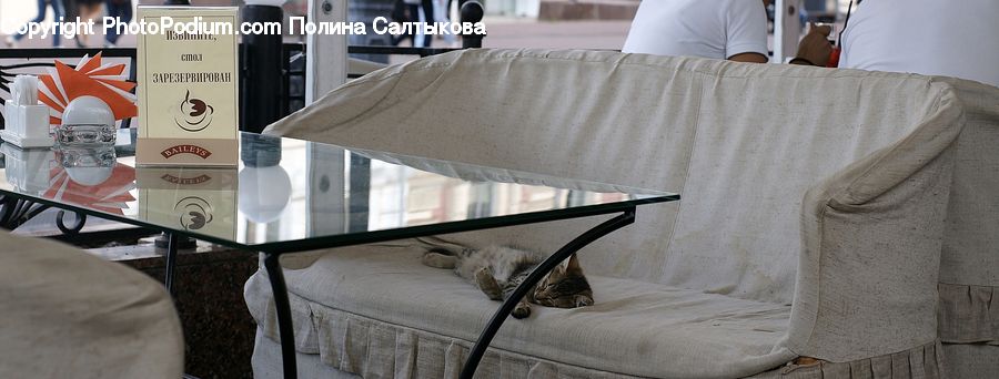 Bed, Bedroom, Furniture, Dining Table, Table, Chair, Blanket