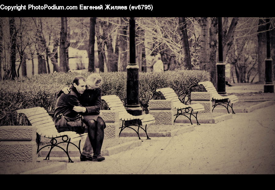 People, Person, Human, Bench, Paper, Silhouette, Plant