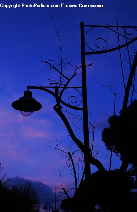 Architecture, Bell Tower, Clock Tower, Tower, Silhouette, Plant, Tree