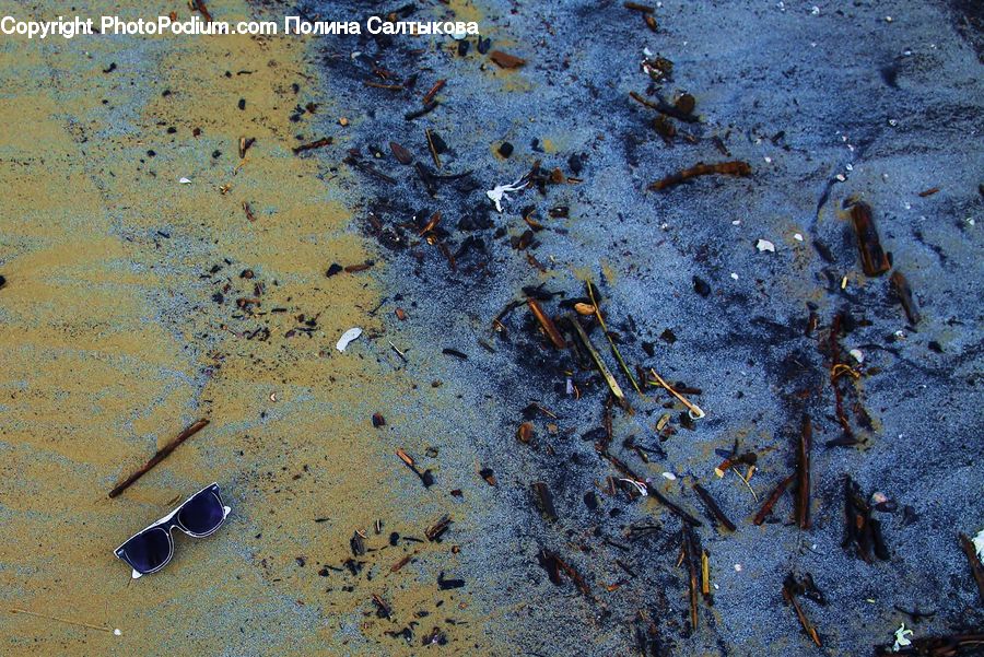Glasses, Goggles, Sunglasses, Crab, Invertebrate, Sea Life, Seafood
