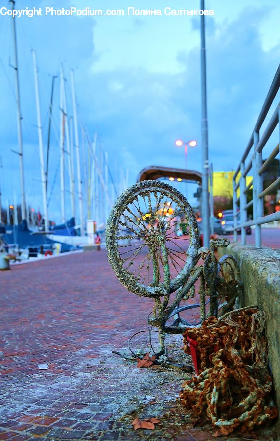 Dock, Port, Waterfront, Amusement Park, Conifer, Fir, Plant
