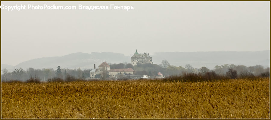 Architecture, Castle, Fort, Countryside, Outdoors, Field, Grain