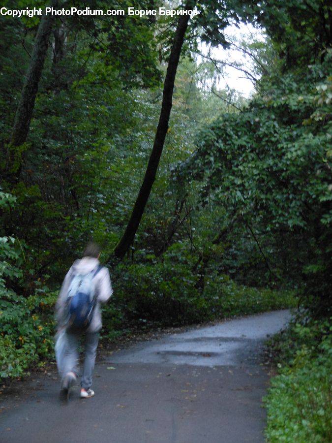 People, Person, Human, Dirt Road, Gravel, Road, Forest