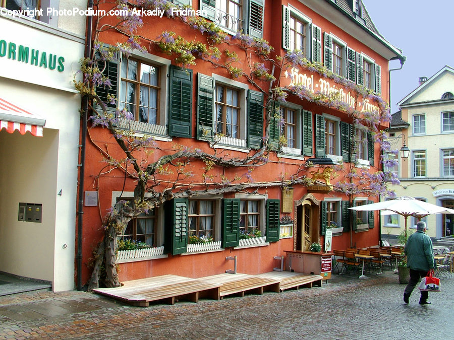 Balcony, Plant, Potted Plant, Cafeteria, Restaurant, Cafe, Food Court