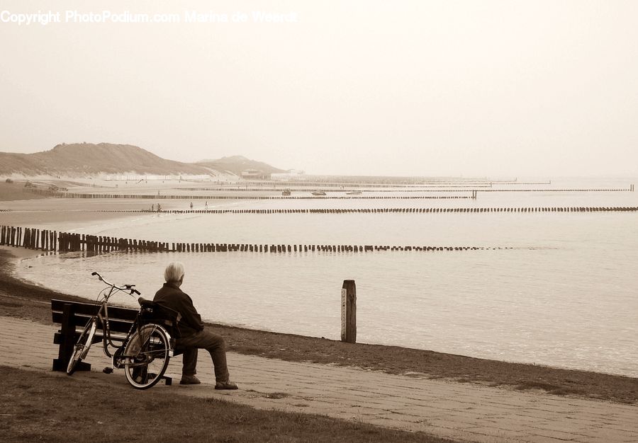 Wheelchair, Beach, Coast, Outdoors, Sea, Water, Tricycle