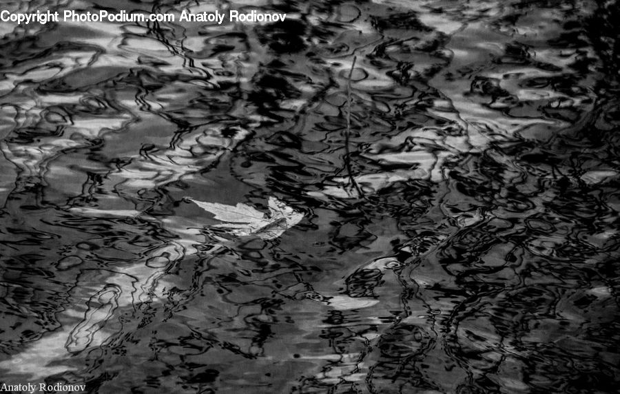 Outdoors, Ripple, Water, Ground, Soil, Plant