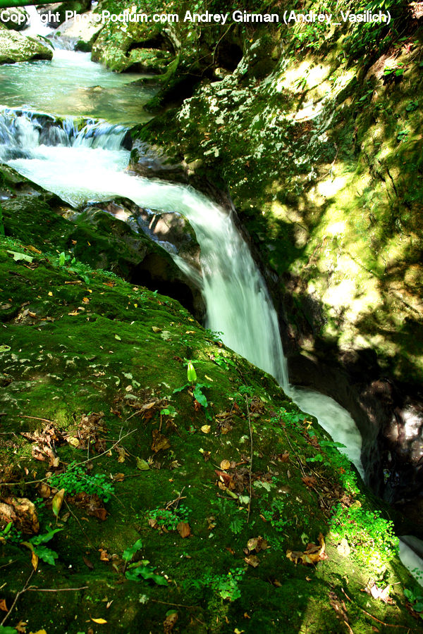 Creek, Outdoors, River, Water, Forest, Jungle, Rainforest