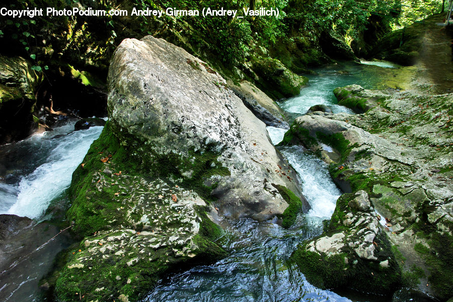 Creek, Outdoors, River, Water, Forest, Jungle, Rainforest