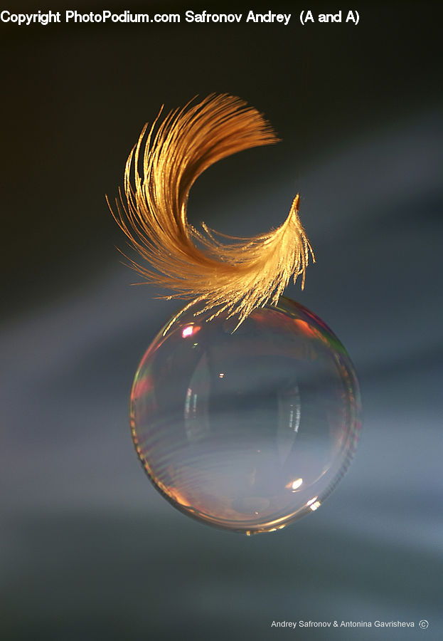 Bubble