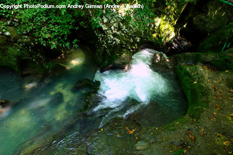 Creek, Outdoors, River, Water, Forest, Jungle, Rainforest