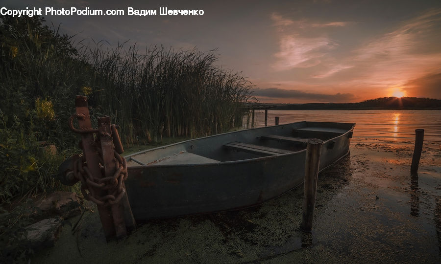 People, Person, Human, Boat, Rowboat, Vessel, Dinghy