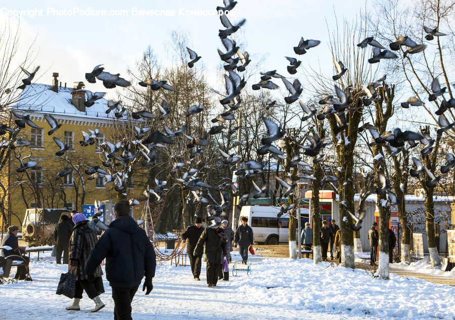 People, Person, Human, Landscape, Nature, Scenery, Campus