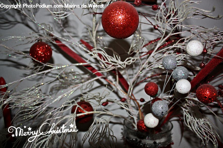 Frost, Ice, Outdoors, Snow, Ornament, Fruit, Plant