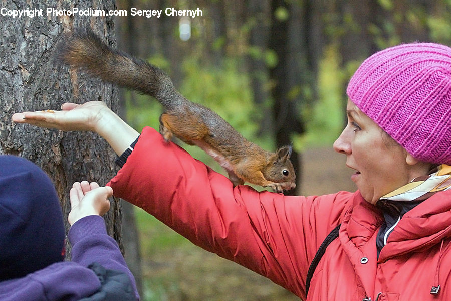 People, Person, Human, Animal, Mammal, Rodent, Squirrel