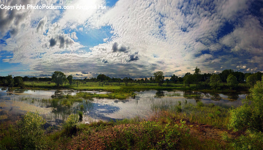 Field, Grass, Grassland, Land, Outdoors, Marsh, Pond