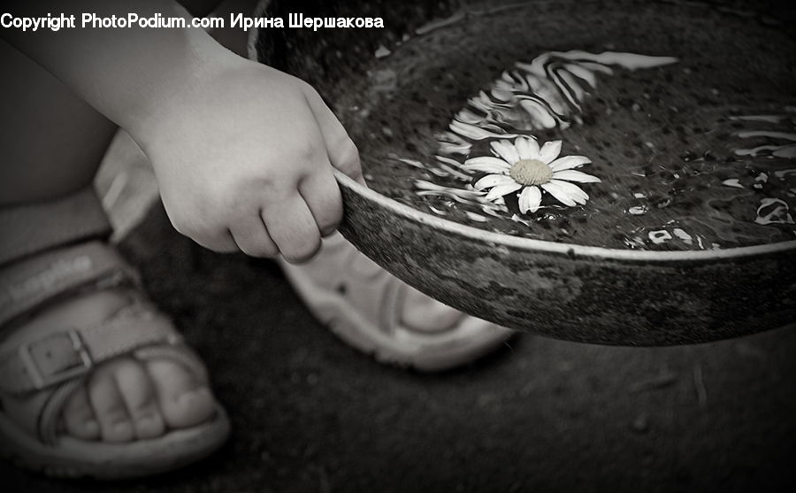 Toe, Footwear, Shoe, Dish, Food, Plate