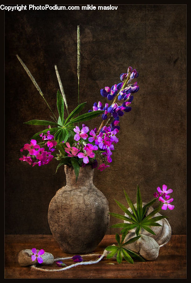 Floral Design, Flower, Flower Arrangement, Flower Bouquet, Ikebana, Plant, Potted Plant