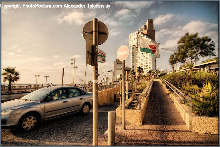 Automobile, Car, Vehicle, Plant, Potted Plant, Boardwalk, Path