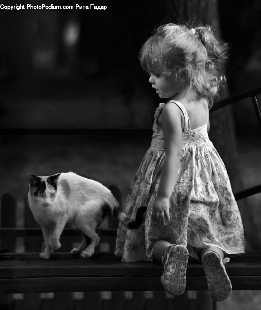 People, Person, Human, Footwear, Shoe, Animal, Cat
