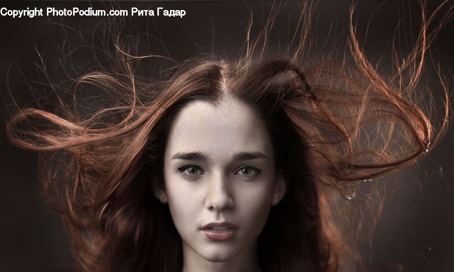 People, Person, Human, Female, Girl, Woman, Light