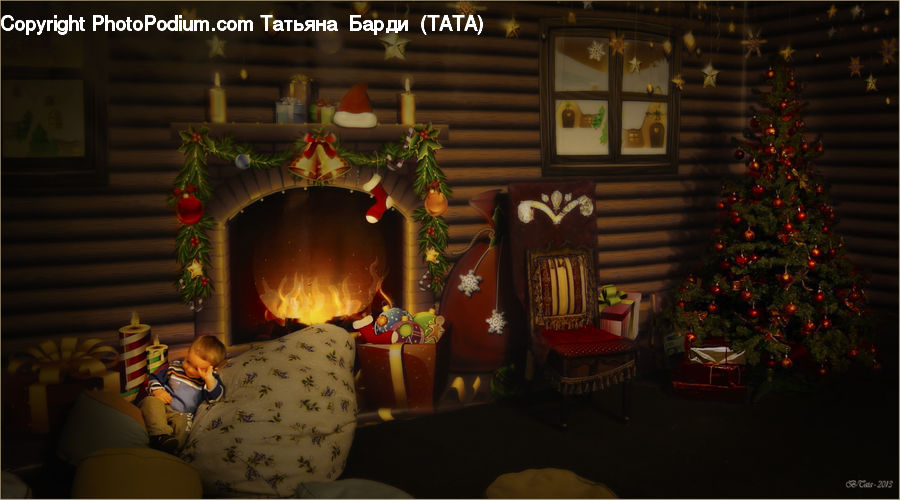 Plant, Potted Plant, Hearth, Fireplace, Asleep, Conifer, Fir