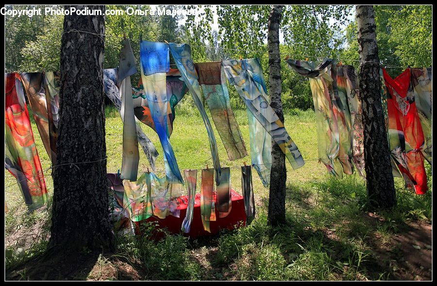 Collage, Poster, Art, Backyard, Yard, Blossom, Flora