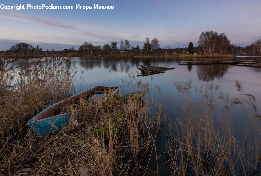 Field, Grass, Grassland, Plant, Outdoors, River, Water