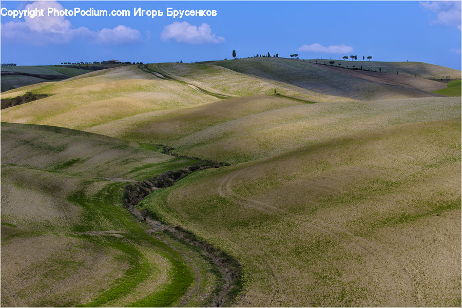 Field, Grass, Grassland, Land, Outdoors, Dirt Road, Gravel