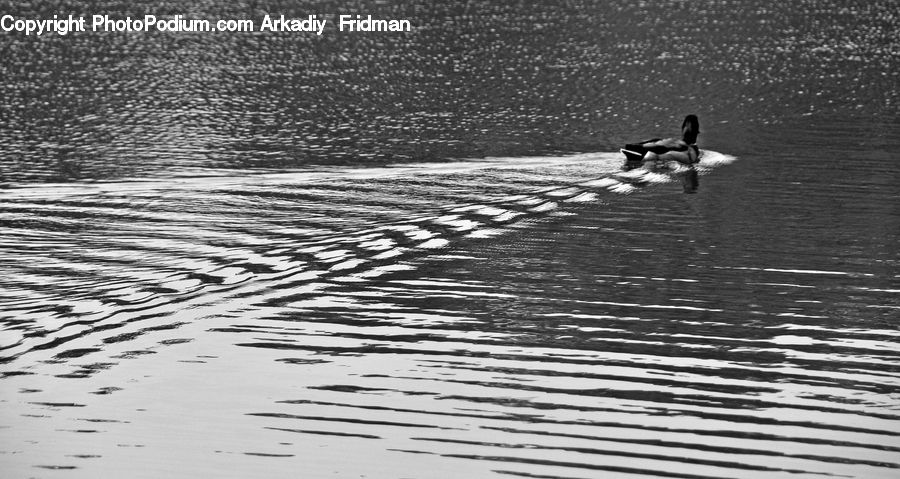 Outdoors, Ripple, Water, Dock, Landing, Pier